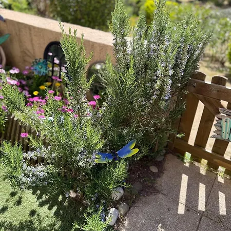With Garden, Next To The Pool And Beach, Close To Saint-tropez דירה גאסה