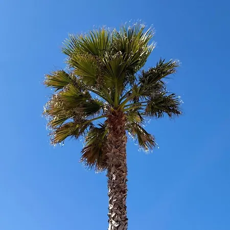 With Garden, Next To The Pool And Beach, Close To Saint-tropez דירה גאסה
